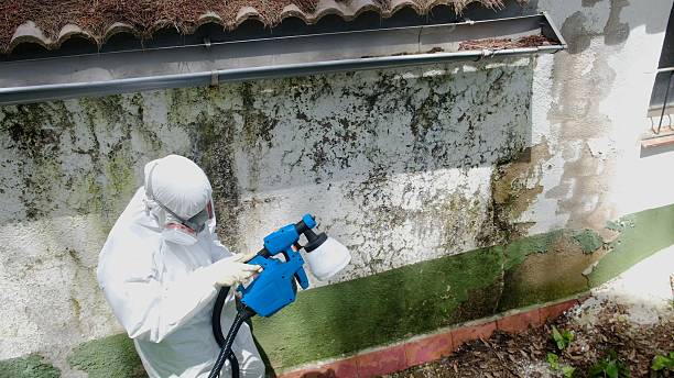 Top rated local Attic Mold Remediation specialists in Dunkirk, MD